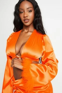 SOLADO Satin Plunging Neck Feather Trim Long Sleeve Top 13 SOLADO Satin Plunging Neck Feather Trim Long Sleeve Top -SOLADO Shop jpeg a7e770ea c380 4827 b9a3 280b8143e183 1800x1800