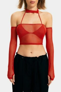 SOLADO 2pcs Mesh Halter Neck Cold Shoulder Crop Top With Bra -SOLADO Shop jpeg af7646cc e50a 4ba6 b3ae 0adcb8a35804 1800x1800